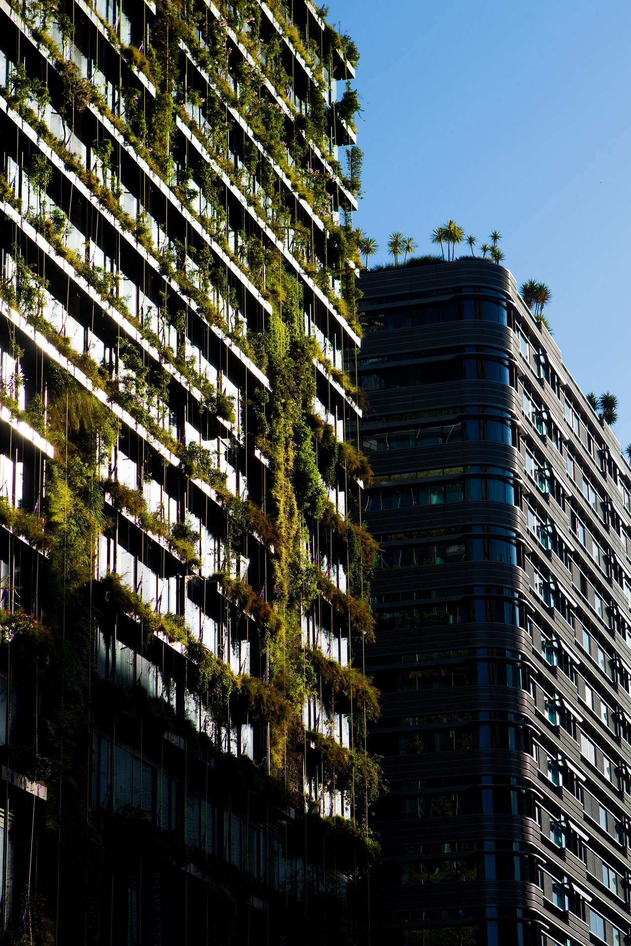 Green Transition
